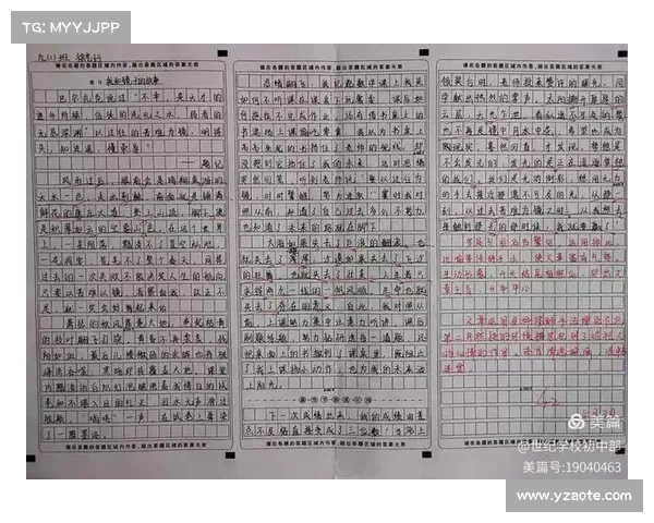 最美赛事作文 最美赛事作文